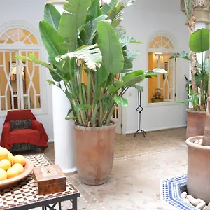 Dar Loulema 3*, Essaouira Morocco